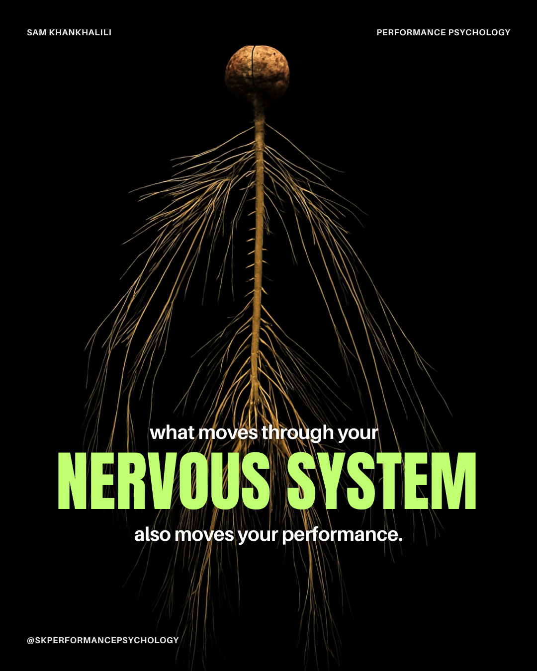 What Moves Through Your Nervous System